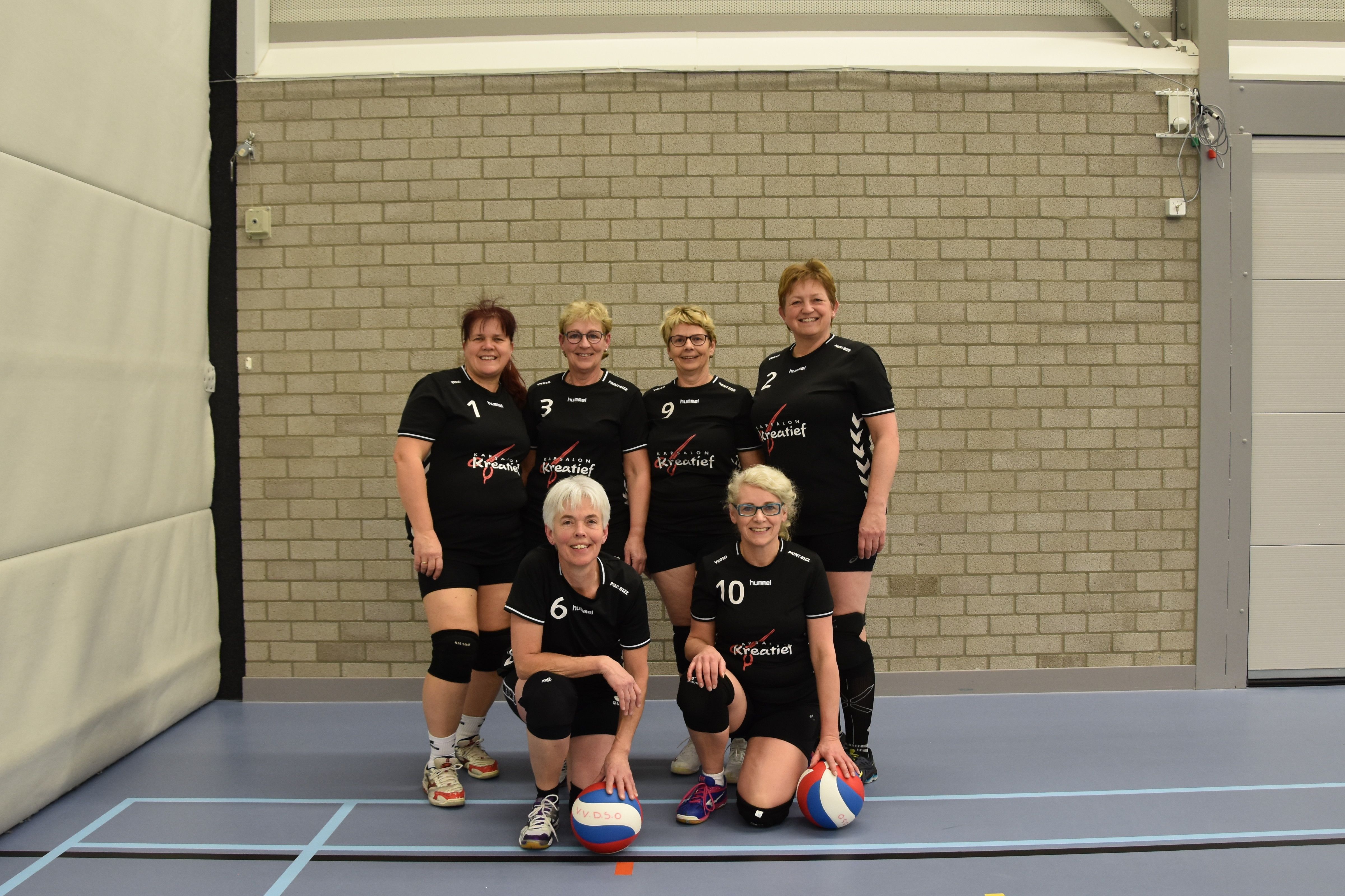 Volleybalvereniging DSO